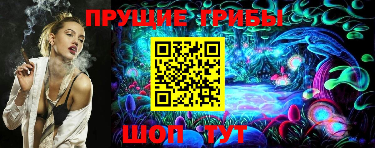 Кудрово  Галлюциногенные грибы GOLDEN TEACHER  Вход с VPN 