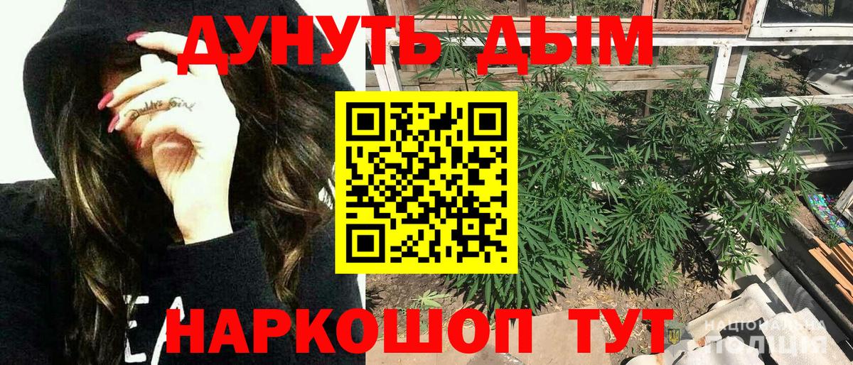 Марихуана семена Кудрово